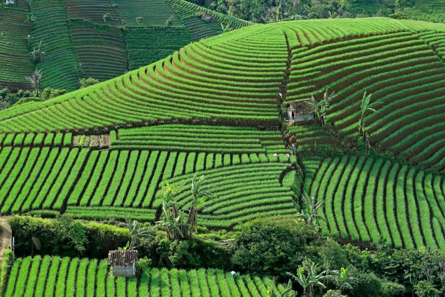Indonesia